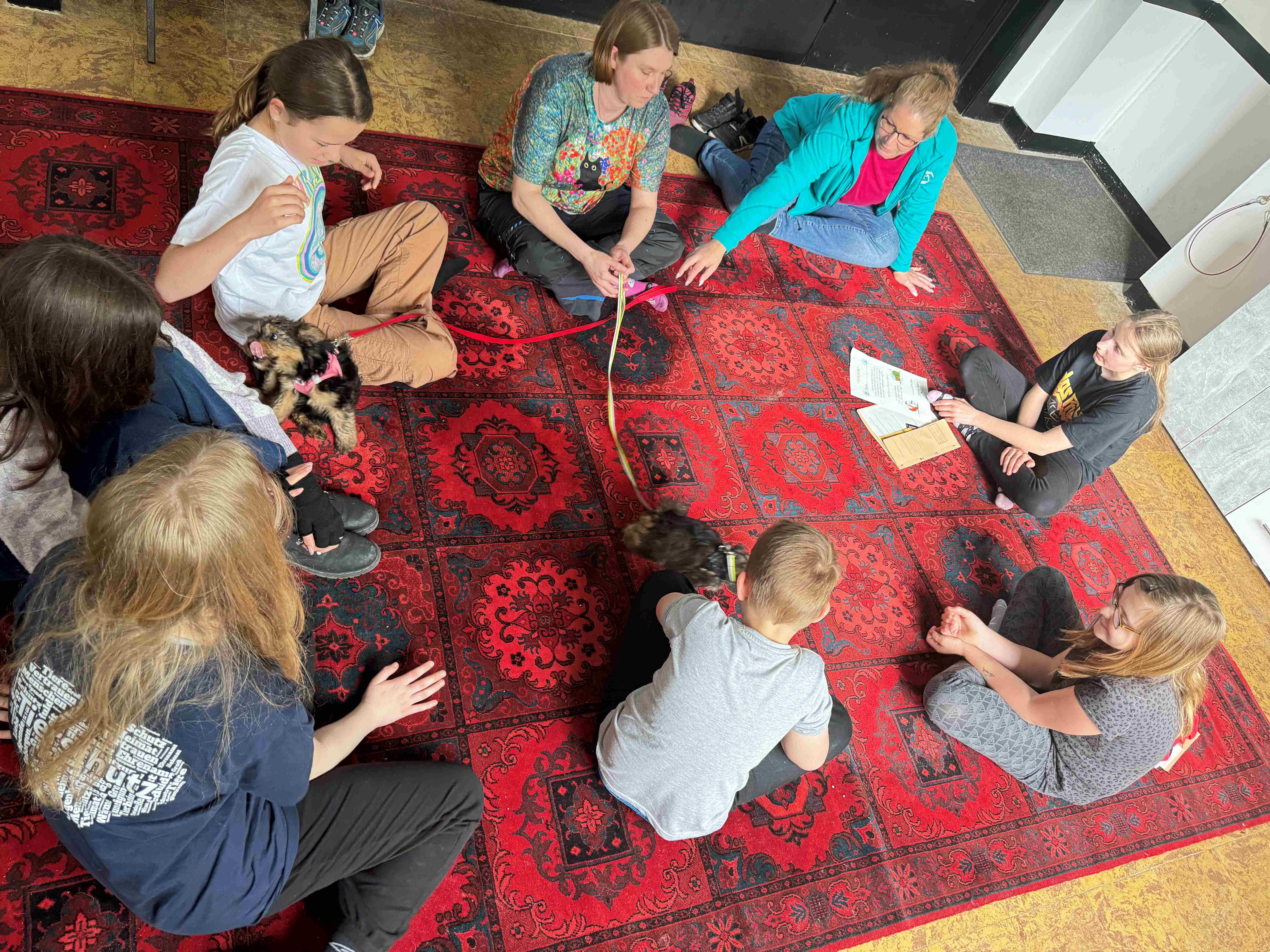 Kindergruppe mit Hunden
