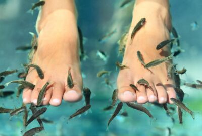 Menschliche Füße in Wasser und unzählige Fische knabbern an ihnen