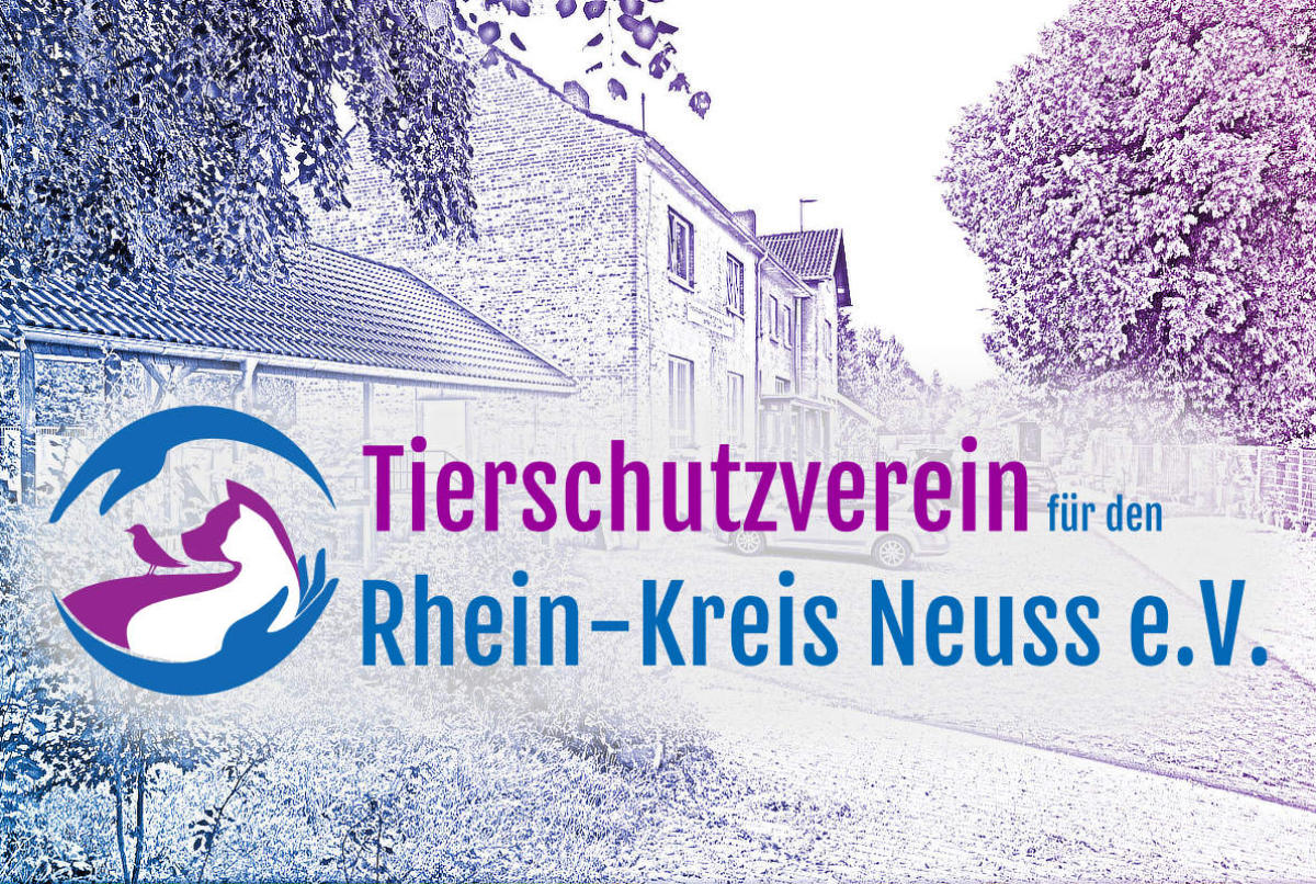(c) Tierschutzverein-rhein-kreis-neuss.de